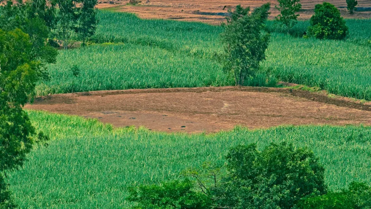 Agricultural Land — view 1