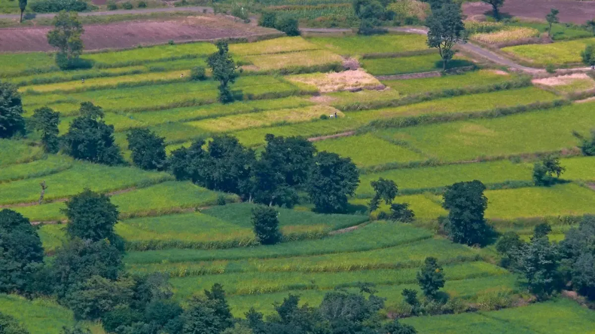 Agricultural Land — view 2
