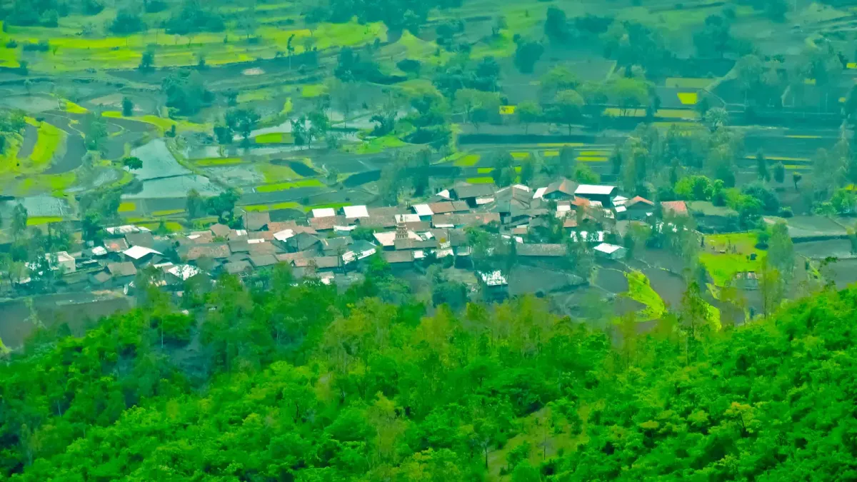 Agricultural Land — view 4