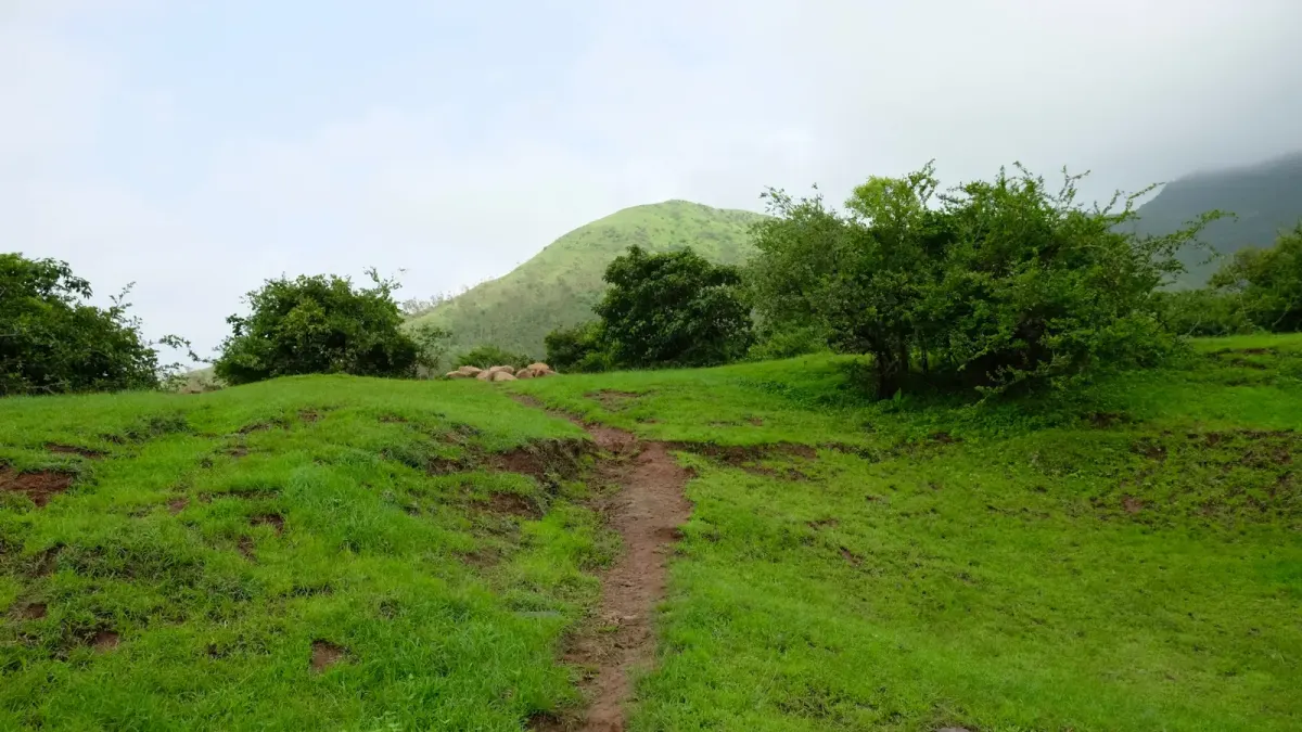 Plots & Land